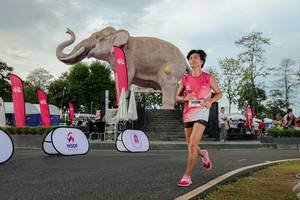 BIB: 
                            <button type="button" onclick="openModal(26528540)" class="btn btn-primary btn-sm float-right btn-popup" data-toggle="modal" data-target=".modal-high-quality">
                        <i class="fas fa-shopping-cart"></i> Add to Cart
                    </button>
                                            <button type="button" onclick="isThisMe(26528540, true)" class="btn btn-success btn-sm float-right btn-popup btn-isme hidden" data-toggle="tooltip" data-placement="bottom" title="นี่คือรูปของคุณใช่ไหม คลิกที่นี่เพื่อเอาเข้าอัลบั้ม">
                        <i class="fas fa-plus"></i> Add to album
                    </button>
                    <button type="button" onclick="isThisMe(26528540, false)" class="btn btn-warning btn-sm float-right btn-popup btn-isnotme hidden">
                        <i class="fas fa-ban"></i> Remove from album
                    </button>